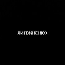 Литвиненко - Муза