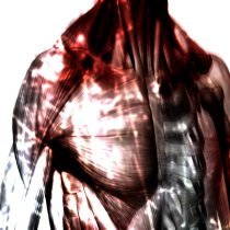 k0vertessence - мышечные волокна