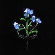 Pra(Killa'Gramm), Masha Hima - Ошейник (prod by Chizabeat)