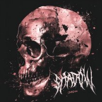 Liewsenn - SHADOW (Slowed)