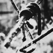 Miyagi, Hloy - Ограды