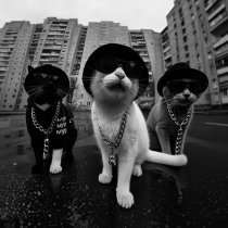 Это Радио - На мурмулях