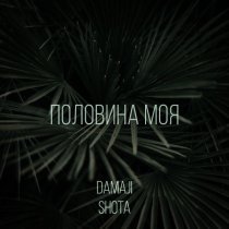 Damaji, Shota - Половина моя