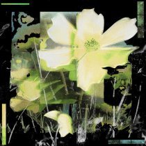 Justin Jay, Rodney Dinkles - R U Ready?