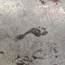 Маленький Буддист, Wasta - Большой шаг