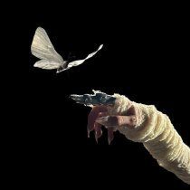 ARTBAT, The Temper Trap - Sweet Disposition - ARTBAT Remix