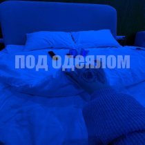 KANIMA - ПОД ОДЕЯЛОМ