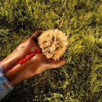 Reggie Becton - The Last Great American Summer