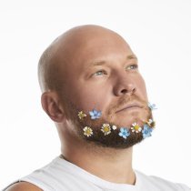 Vavan - Россия