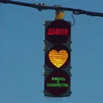 ДИКО! - Влюбись в одиночество