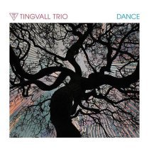 Tingvall Trio - Cuban SMS