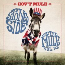 Gov't Mule - Shattered