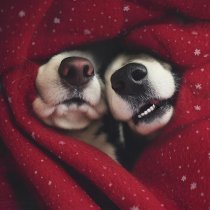 ТЕПЛЕЕТ - Ававу