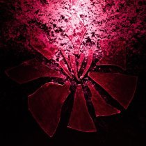 yourneck - Салют