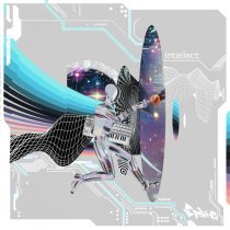 DJ 33, Wicked Selecta - Intellect