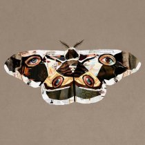 Альбина Джанабаева - Мотылёк