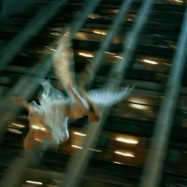 Jumpday, Save Room - Этажи