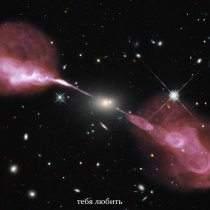 Кот Балу, mvrkeniy - Тебя любить