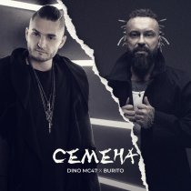 Dino MC47, Burito - Семена