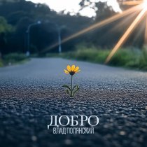 Влад Полянский - Добро