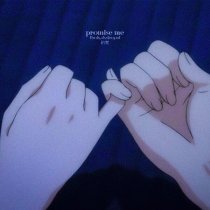 Flwsh, dxstroyed - promise me