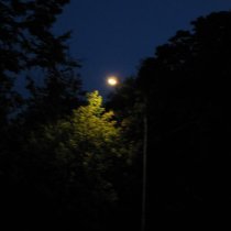 Алевтина Дурова - прости меня