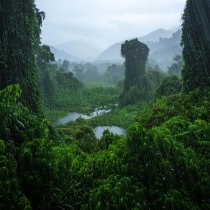 Александр Вольский, Звуки сна Окружающие Шумы - Успокаивающий Шум Леса Дождя Моря Окружающей Среды Для Сна 4