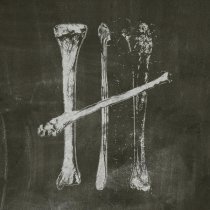 Июльские Дни, Стереополина - Конец времен