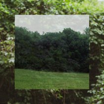 Carly Bannister - I'll Stand by Me