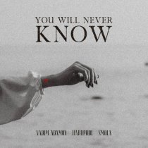 Vadim Adamov, Hardphol, Smola - You Will Never Know