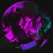 дари бэмби, Крайнеплохо, Anjee, LEXTONE, Donnq - имя