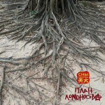 План Ломоносова, СНЫ ОБЕЗЬЯНЫ - Дерево