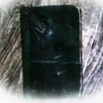 Pittkiid - Dear Diary