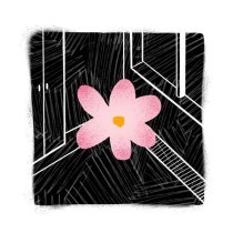 сонлеса - не свой