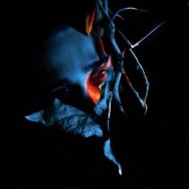 Acrona - Бабочка