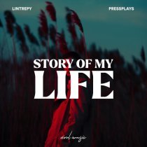 Lintrepy, Pressplays - Story Of My Life