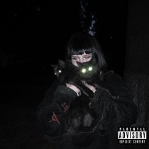 лавмикортни - передаюпока