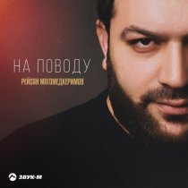 Рейсан Магомедкеримов - На поводу