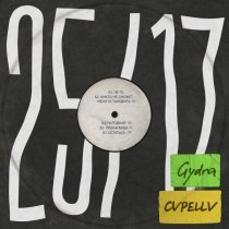 25/17, Gydra, CVPELLV - Пропаганда (dnb remix)