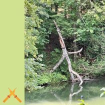 Sam Gendel - Run Club