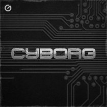 DJ 33, Wicked Selecta - Cyborg