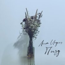 Леша ИНДЕЕЦ - Поезд