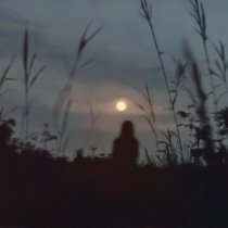 Money Flip - star shopping