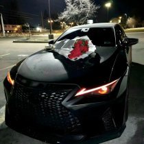 DXNKXR, SH3TLVIZ - Sun Above Us