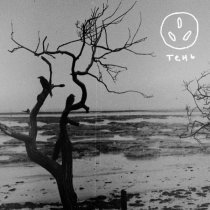 я слышу розетки - Тень