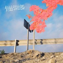 Byrd Dhillon - Anyhow