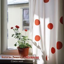 Балаган Лимитед, NEVROLOG - Сокол мой