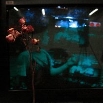 Tauries - Твоими глазами