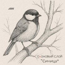ОзОНОВЫЙ СЛОЙ - Синица