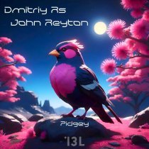 Dmitriy Rs, John Reyton - Pidgey (Extended Version)